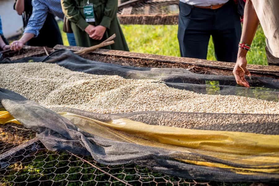 Nairobi: Guided Coffee Farm Tour with Tastings - Price and value: what $27 covers, and when entry fees can change the math