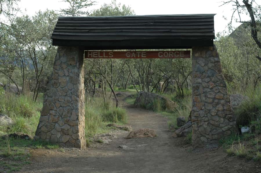 Nairobi: Hell's Gate National Park and Lake Naivasha Day … - Lunch at Naivasha Fisherman’s camp: plan for it being on your dime