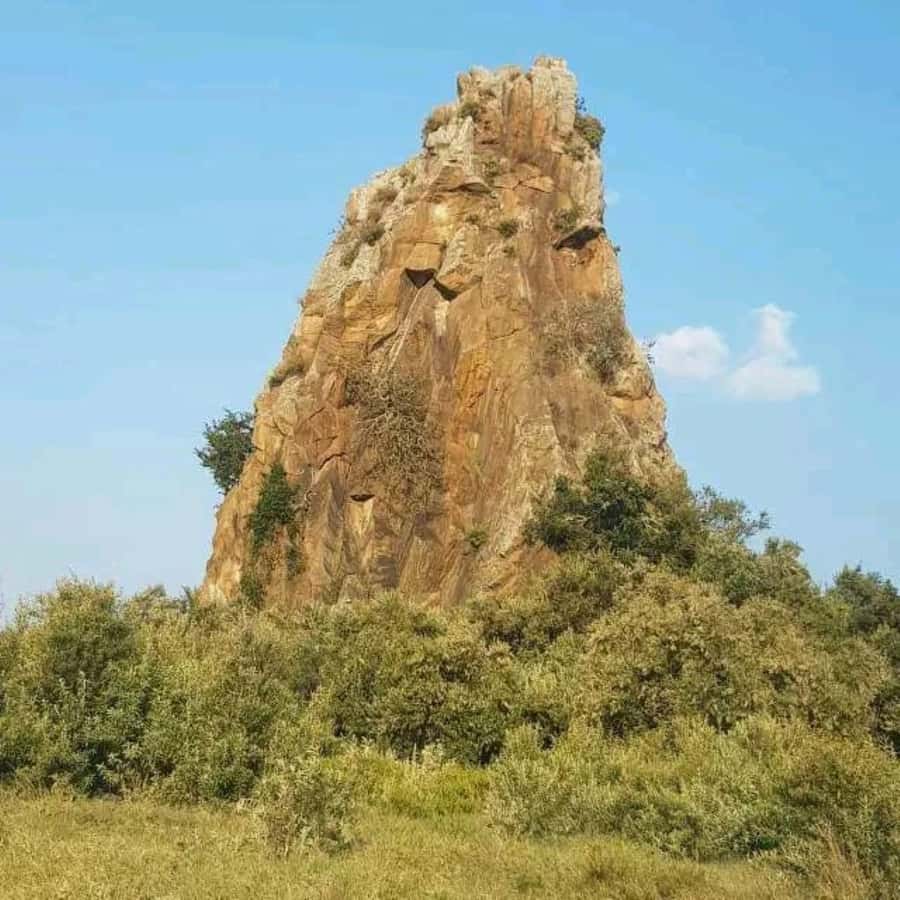 Nairobi: Hell's Gate National Park and Lake Naivasha Tour - Rift Valley drive and the viewpoint stop you can actually use