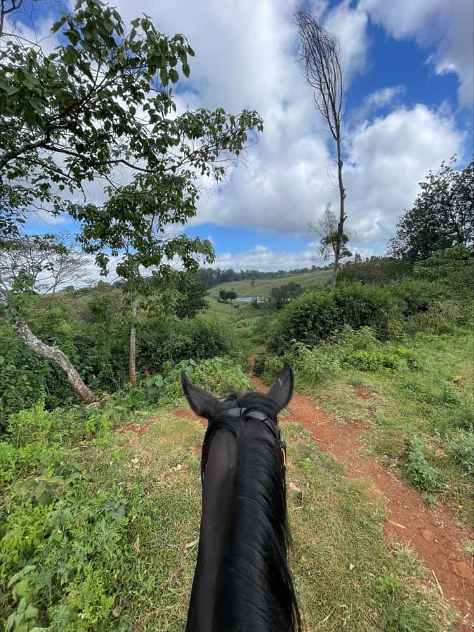 Nairobi: Horseback Riding Tour Through Maize Plantation - Key highlights at a glance