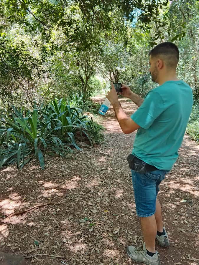 Nairobi: Karura Forest Guided Walking Tour - Meeting point choices: International House or Gate A