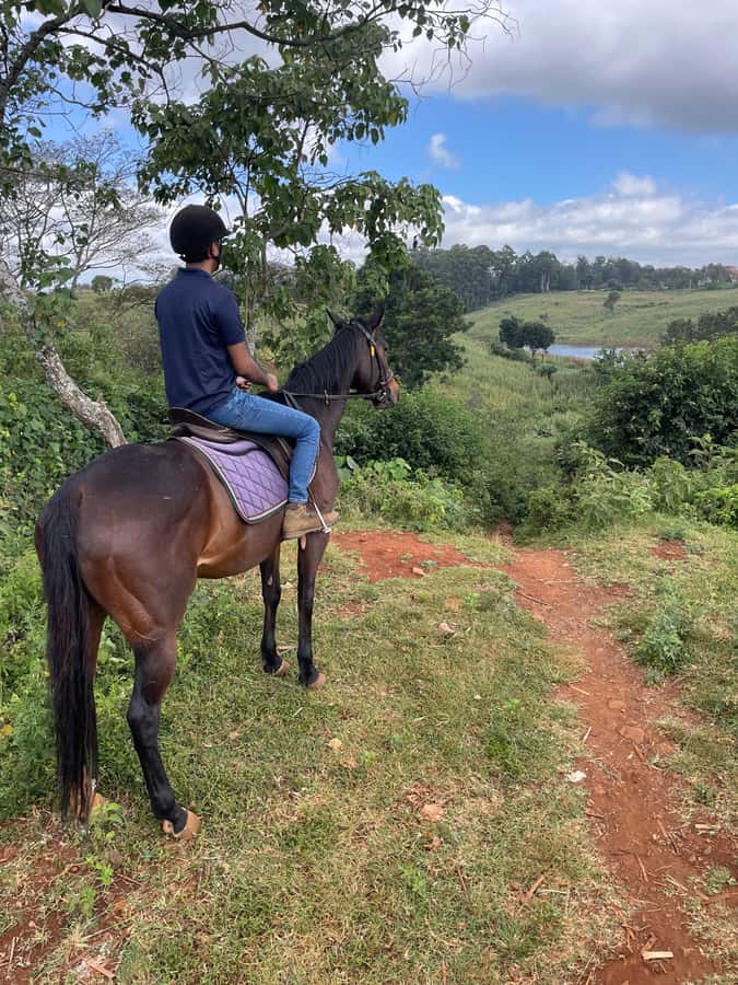 Nairobi: Karura Forest Horseback Riding Tour - Karura Forest horse riding from Sigiria Gate, and why the right gate matters