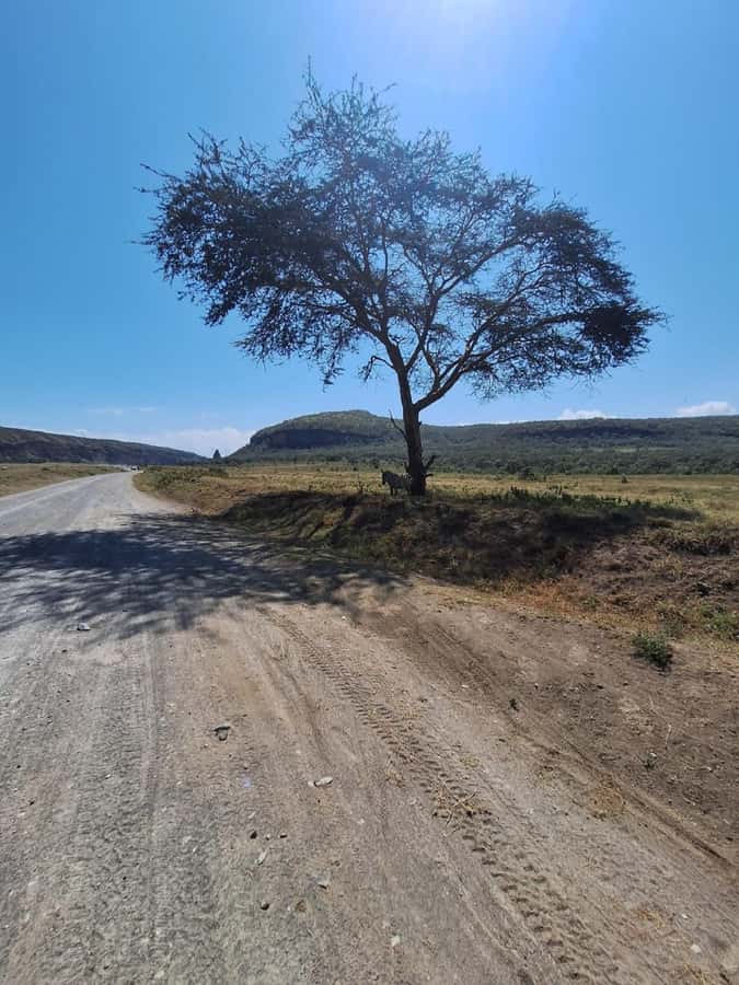 Nairobi: Lake Naivasha & Hell’s Gate National Park Day Trip - Lunch at the Lakeside: Plan to Pay Yourself