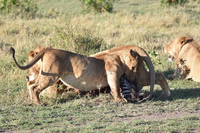 Nairobi layover - What Is Included, What You Need, and How to Pack Smart