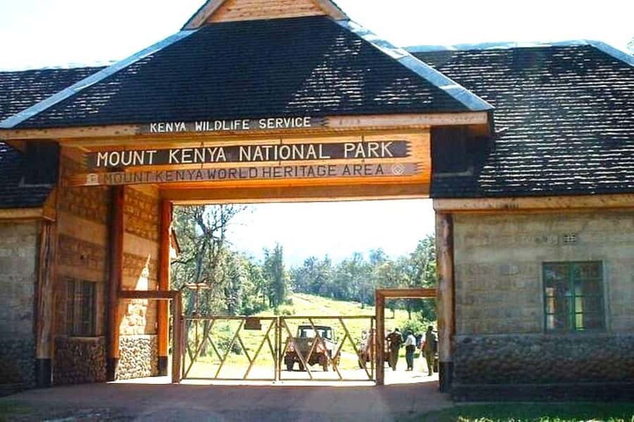 Nairobi: Mount Kenya Day Hike with Lunch - Key highlights you will feel in real life