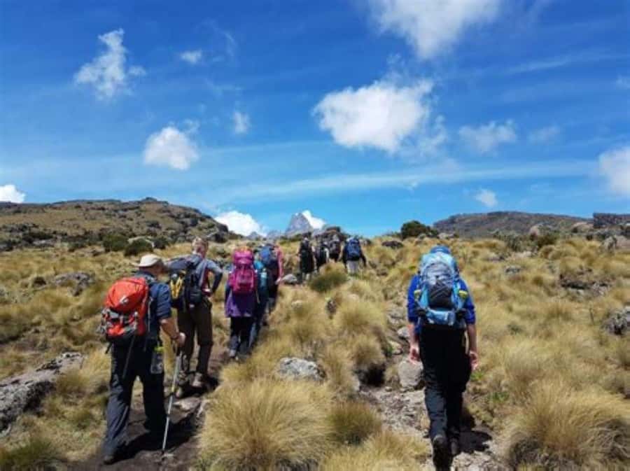 Nairobi: Mount Kenya Day Hike with Lunch - The 3-hour climb to altitude, and why it feels fast