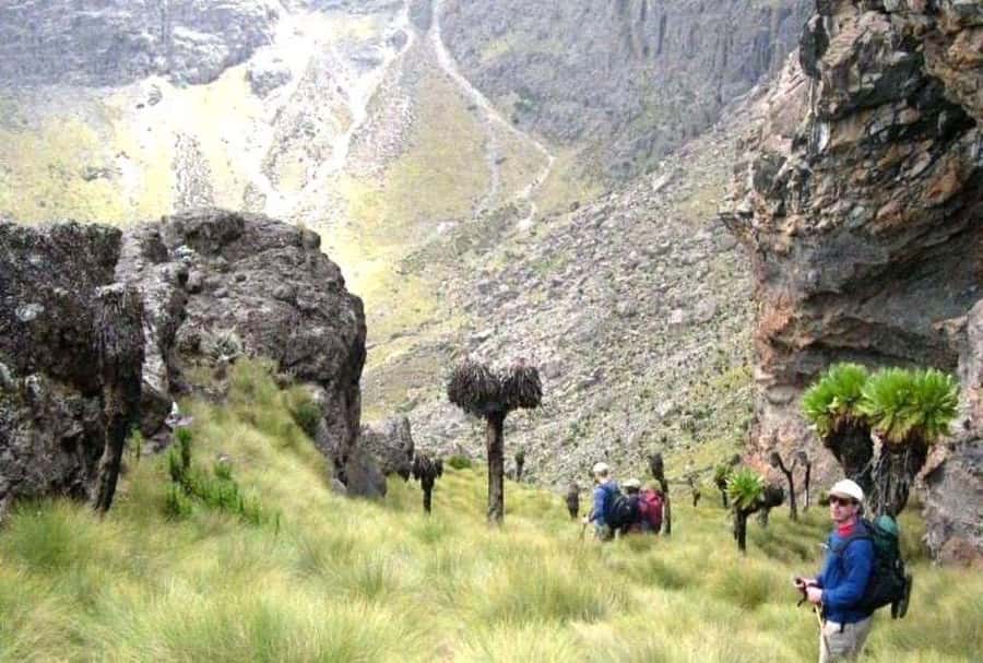 Nairobi: Mount Kenya Day Hike with Lunch - Old Moses Camp and the views of Batian and Nelion