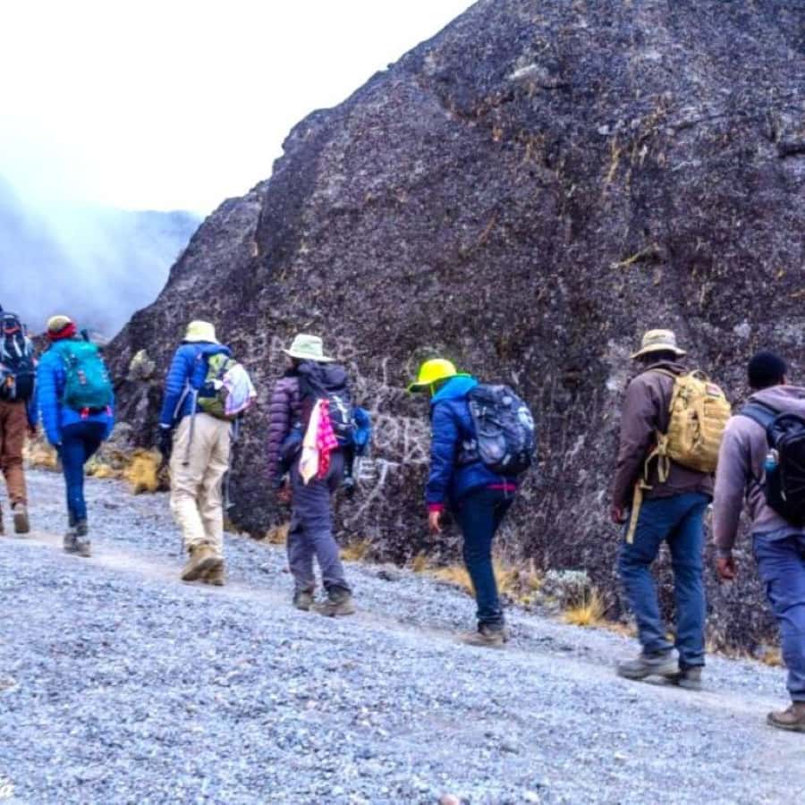 Nairobi: Mount Kenya Day Hike with Lunch - Forest to bamboo to heather: your hike has a storyline