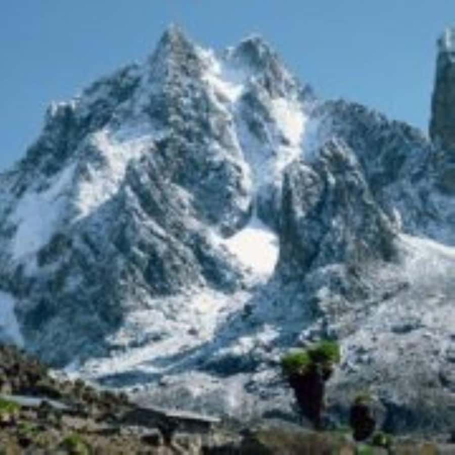 Nairobi: Mount Kenya Day Hike with Lunch - Price and value: what $304 covers in one hard day