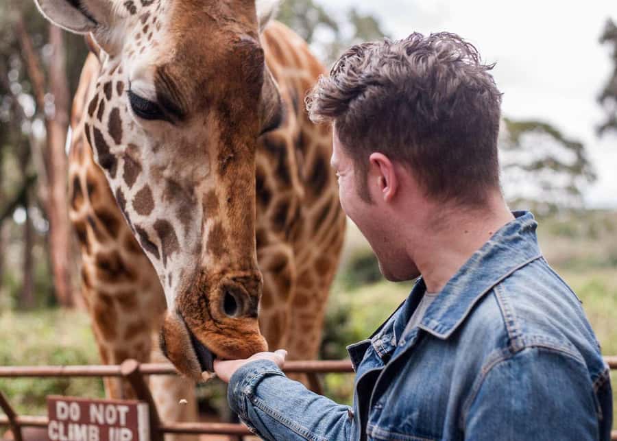 Nairobi: Museum, KICC, Giraffe Centre & Bomas of Kenya Tour - Key things to know before you go