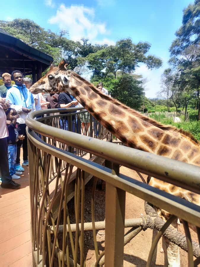 Nairobi: Museum, KICC, Giraffe Centre & Bomas of Kenya Tour - Bomas of Kenya: traditional music and dance from different tribes