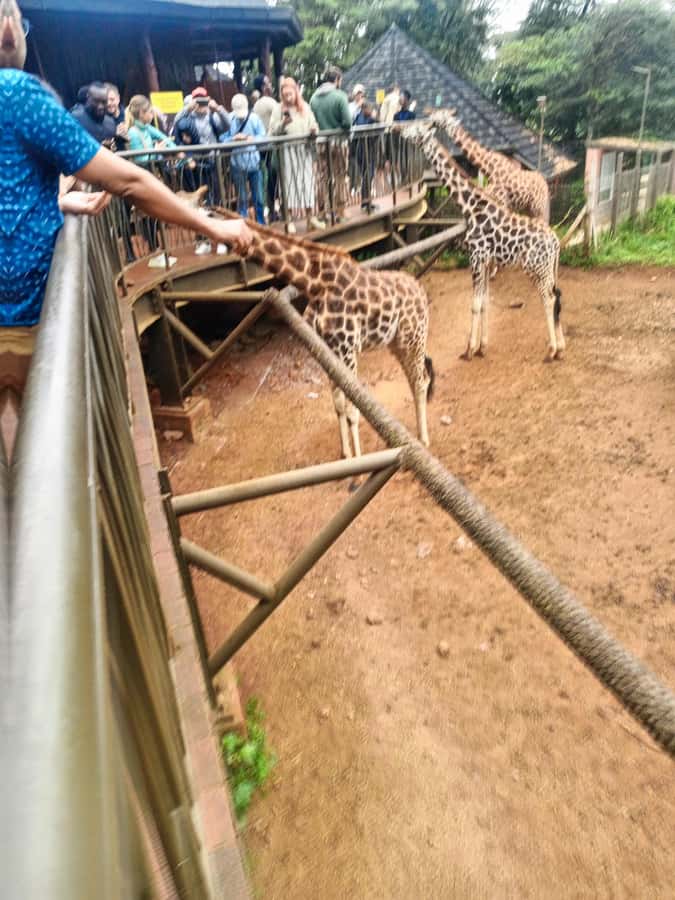 Nairobi: Museum, KICC, Giraffe Centre & Bomas of Kenya Tour - What the $69 price really buys you, plus the ticket math
