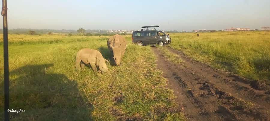 Nairobi:Nairobi national park,David sheldrick,GiraffeCenter - Price and logistics: what you pay for the tour vs what you pay at the gates