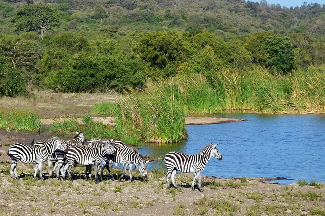 Nairobi National Park - Getting there: Junction Mall meet up and the run to the park