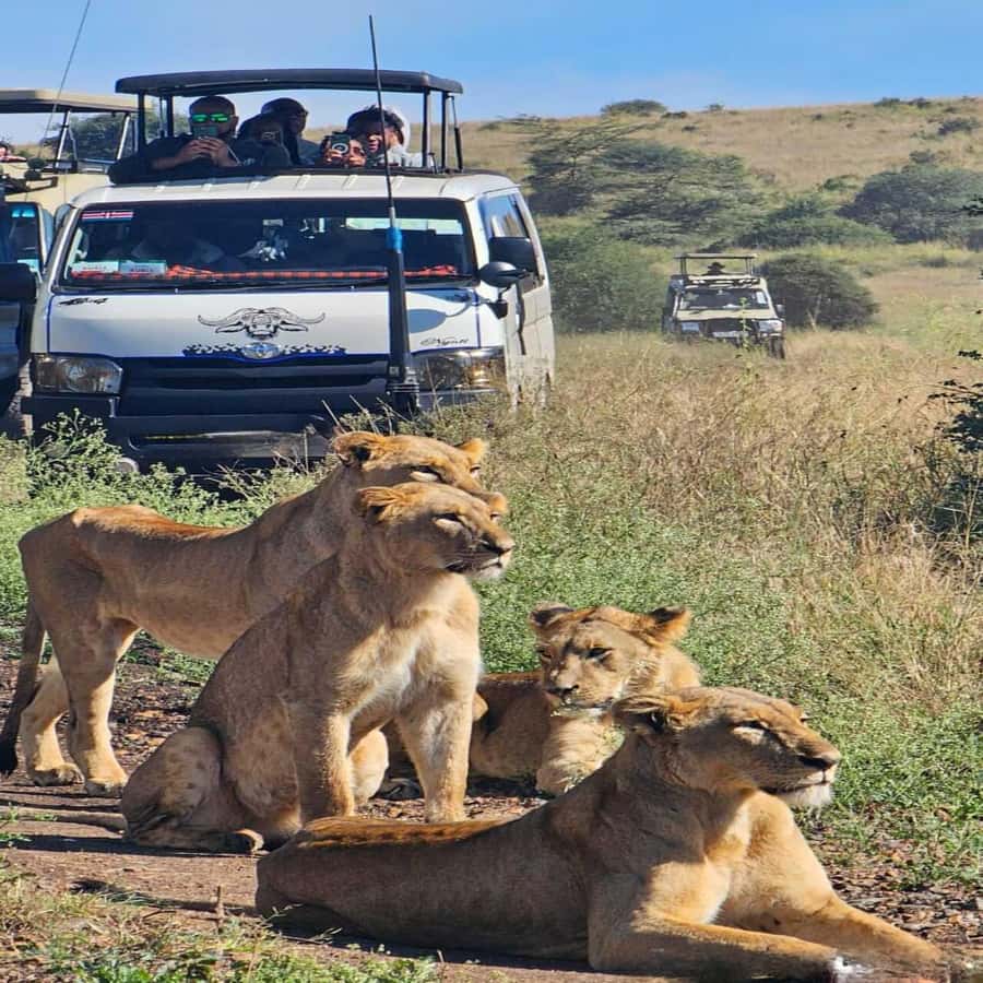 Nairobi National Park 5-hour Guided Game Drive Free Pick up - Key highlights to know before you go