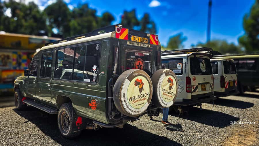 Nairobi National Park 5-hour Guided Game Drive Free Pick up - Conservation talk that actually connects to what you see