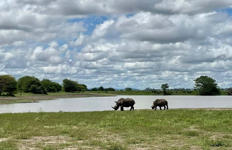 Nairobi National Park 6 am Group Joining Game drive. - Price and value, what you’re really paying for