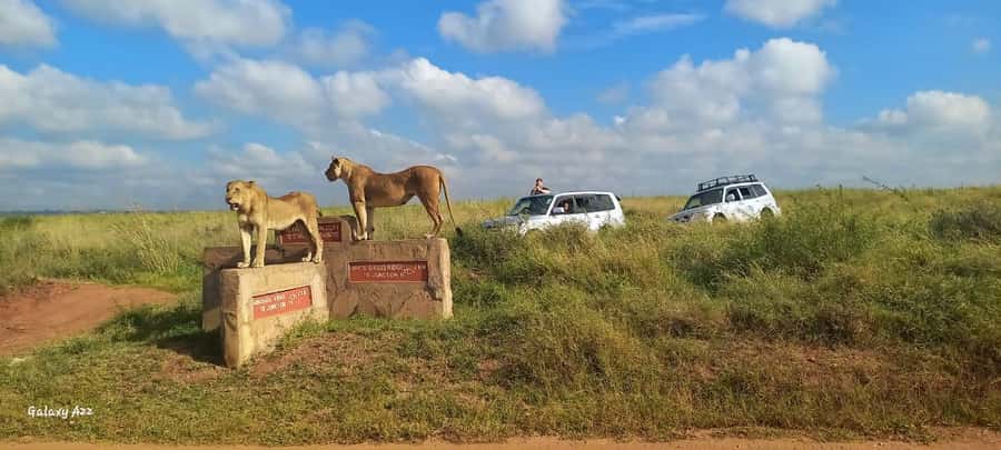 NAIROBI NATIONAL PARK AFTERNOON GAME DRIVE. - Pricing and what it really covers for $35 per person