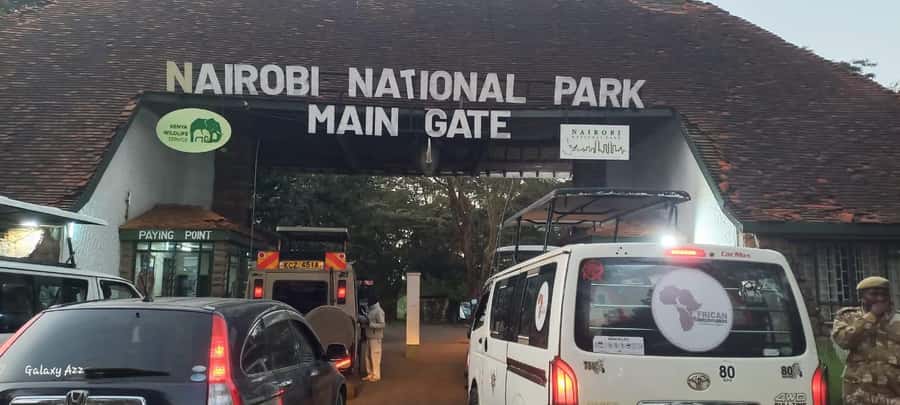 NAIROBI NATIONAL PARK AFTERNOON GAME DRIVE. - The game-drive experience: how guides help you see more, not just drive around