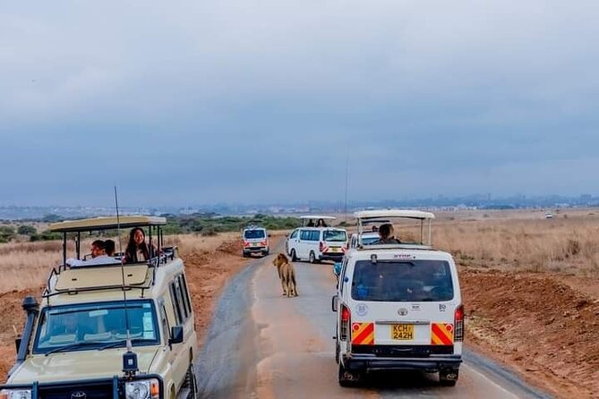 Nairobi National Park and Beads Factory Private Tour - Seven Hours Done Right, With Pickup and a Guided Game Drive