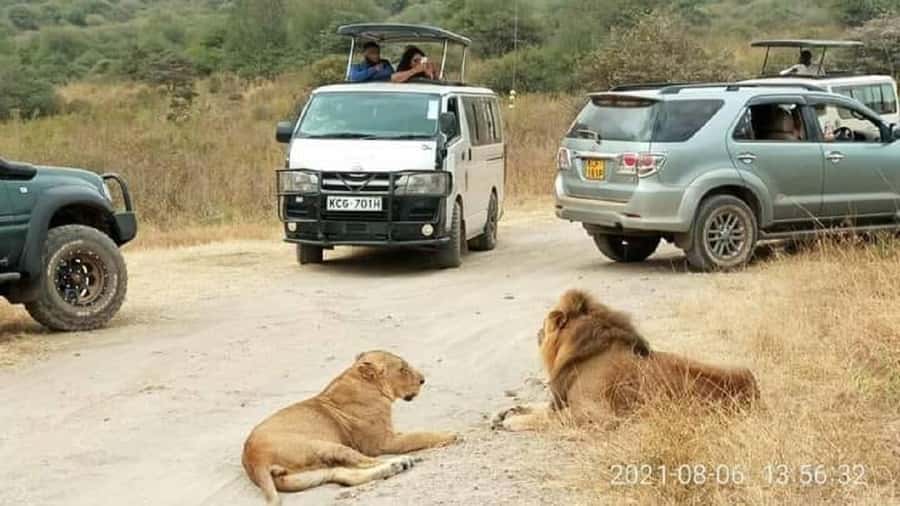 Nairobi national park and elephant orphanage - Nairobi National Park and the Elephant Orphanage in one day