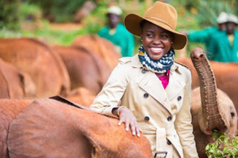 Nairobi national park and elephant orphanage - The 6:30 am start: why timing matters for Nairobi National Park