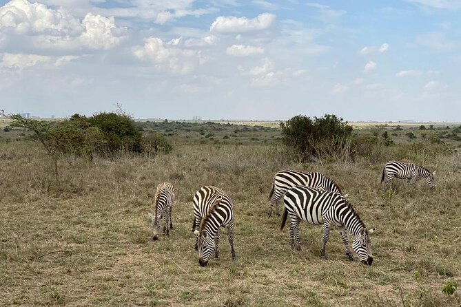 Nairobi national park and Giraffe center - Giraffe Centre in two hours: education you can actually use