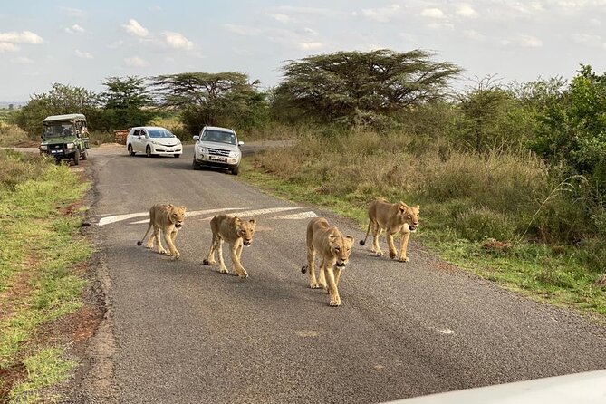 Nairobi national park and Giraffe center - Who this safari suits best