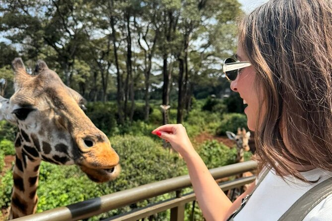 Nairobi National Park and Giraffe Center Daily Tours. - City-Slick Safari: Getting Into Nairobi National Park Fast