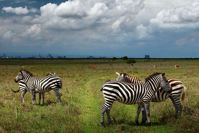 Nairobi National Park and Giraffe Center Day Tour - Key things I’d circle before you book