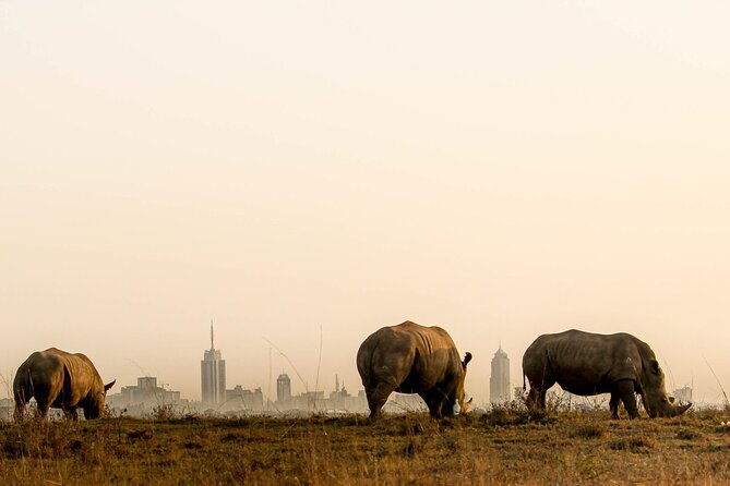 Nairobi National Park and Giraffe Center Day Tour - Big Five chances, with real-world expectations