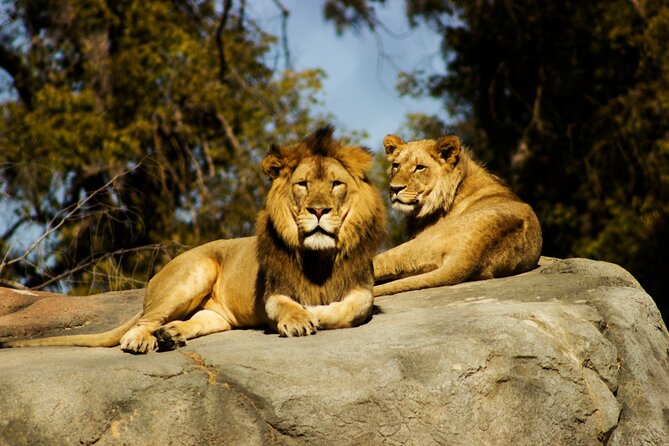 Nairobi National park And Giraffe Center: Free Wi-Fi Connection - Price and value, what the $100 covers and what you still pay