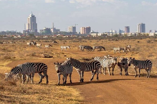 Nairobi National Park and Giraffe Center from Kenya with a Guide - Price and Value: What Your $90 Covers, and What Costs Extra