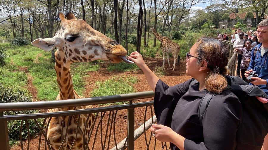 Nairobi National Park, Baby Elephant and Giraffe Centre Tour - Key Highlights You’ll Feel in Real Time