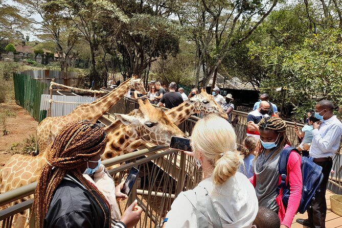 Nairobi: National park, baby Elephant, Giraffe center - Price and logistics: what $44 really buys you