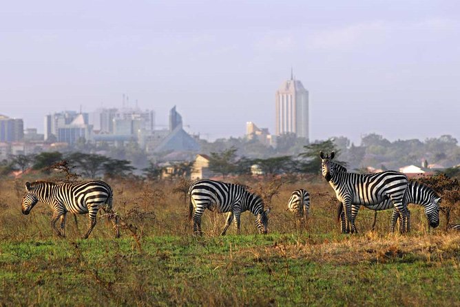 Nairobi National Park, Baby Elephant Orphanage and Giraffe Center - Price And Value: How the $52 Fee Works With the Extra Fees