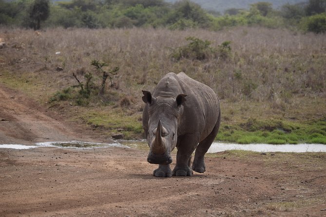 Nairobi National Park, Baby Elephant Orphanage and Giraffe Center - Included Comforts That Make a Short Safari Work