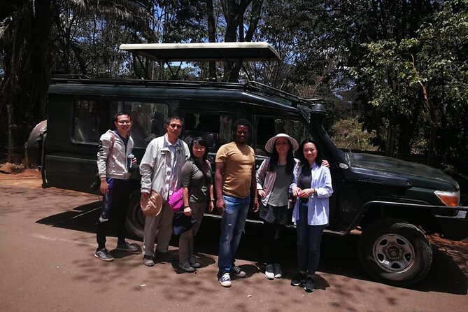 Nairobi National Park Daily Game drives. - When to go for more action: morning fog, city views, and “prime” light