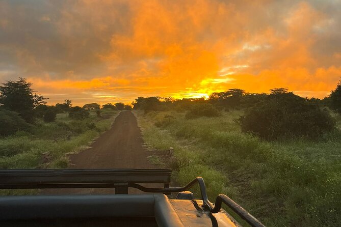 Nairobi National Park Daily Game drives. - Nairobi National Park, stop-by-stop: dams, rivers, and the rhythm of wildlife