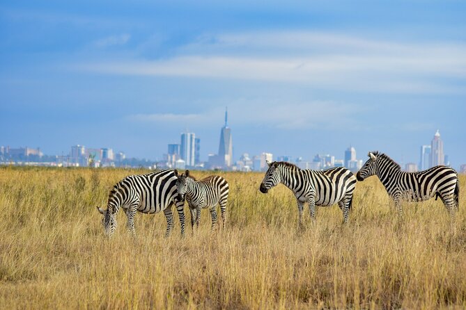 Nairobi National Park Early Morning or Afternoon Game Drive - Stop inside the park: ivory burning monument and hippo trails