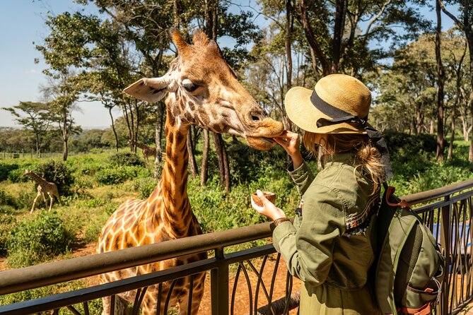 Nairobi National Park, Elephant Orphanage and Giraffe Centre - Key things to know before you go