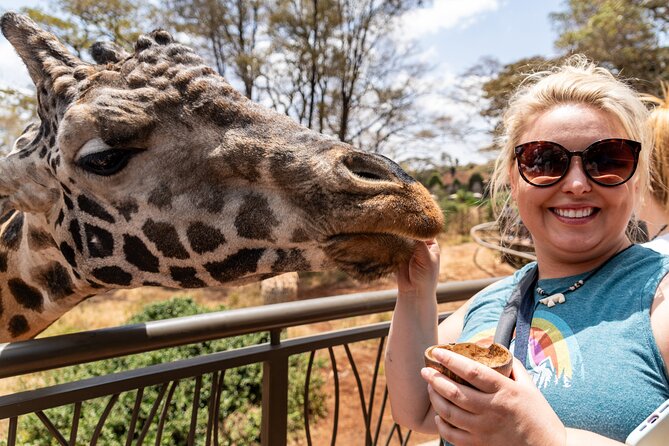 Nairobi National Park, Elephant Orphanage and Giraffe Centre - Nairobi National Park Game Drive: Skyline Backdrop, Rhinos, Lions, and Crocs
