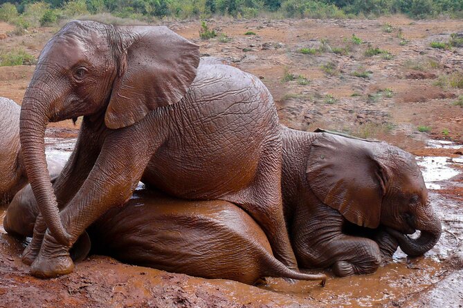 Nairobi National Park, Elephant Orphanage and Giraffe Centre - Kazuri Beads Factory Stop: A Craft Break That Feels Like More Than a Souvenir Stop