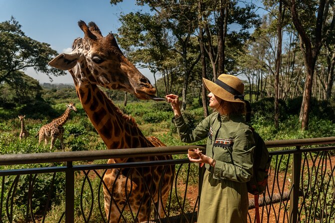 Nairobi National Park, Elephant Orphanage and Giraffe Centre - Lunch in Nairobi: A Planned Break That Keeps the Day Smooth