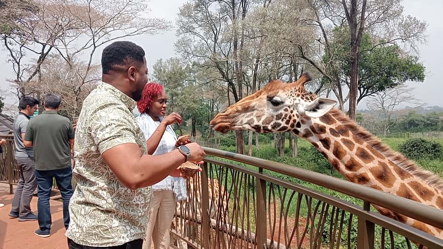 Nairobi: National Park, Elephant Orphanage, & Giraffe Centre - Key Points to Know Before You Go