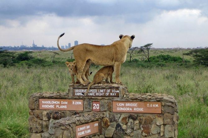 Nairobi National Park, Elephant Orphanage, Giraffe Centre Tour - Key Highlights You Should Know