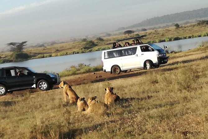 Nairobi National Park, Elephant Orphanage, Giraffe Centre Tour - Price and Logistics, The Real Value Math
