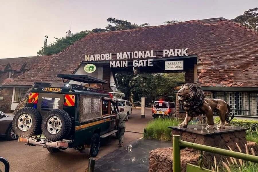 Nairobi: National Park, Elephant Orphanage & Giraffe Tour - Why This Nairobi Wildlife and Crafts Day Tour Feels Efficient