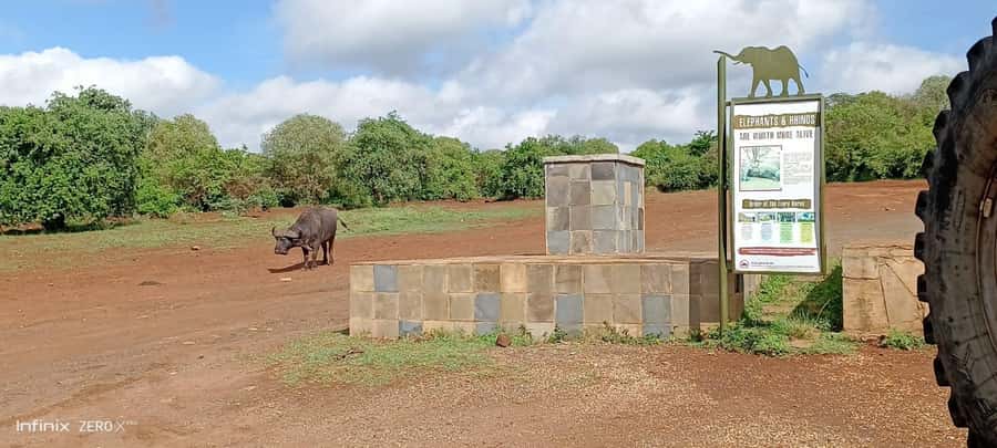 Nairobi: National Park, Elephant Sanctuary, & Giraffe Center - Your Guide and Vehicle Setup: The Difference Between a Good and Great Day
