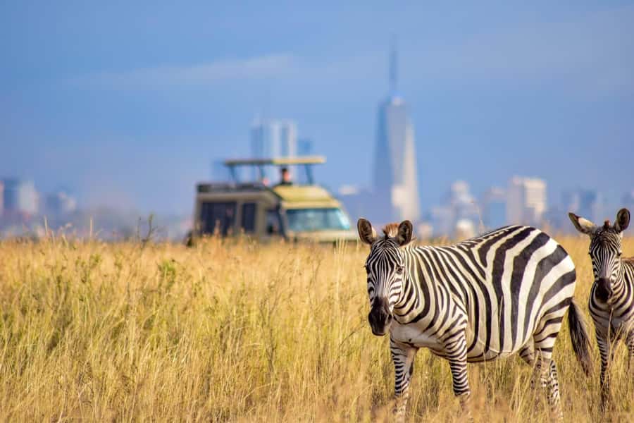 Nairobi National Park, Elephant Sanctuary & Giraffe Centre - Key Highlights Worth Getting Excited About